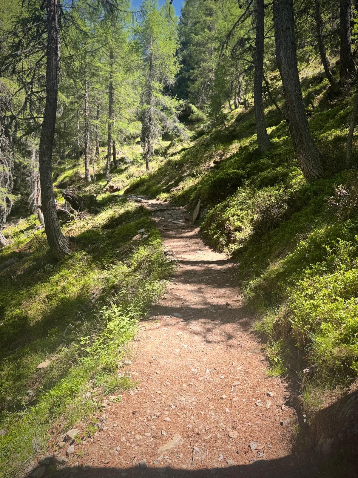 Natur-Resilienz-Training