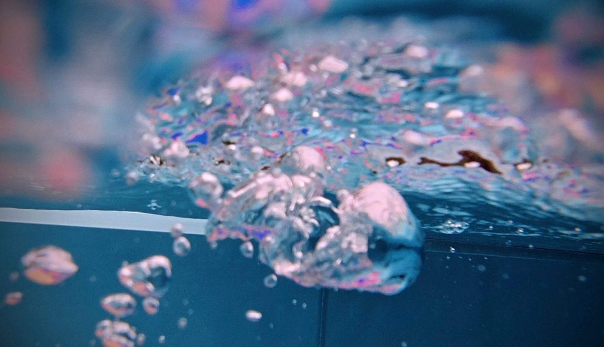 Group cold water immersion in nature
